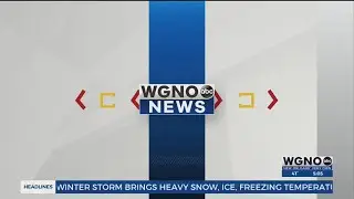 How to protect plants from freezing temperatures