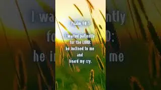 Psalm 40:1 #Psalm #Bible #Bibleverse #WordofGod #Wisdom