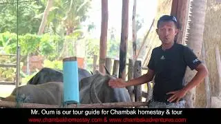 Composting Buffalo Manure | Chambak Homestay Community | Chambak Adventures