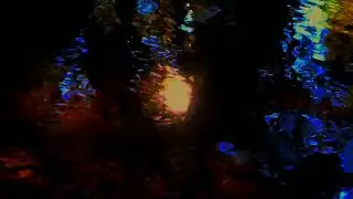 Venus Frequency Meditation (221.23 Hz) | Heart Chakra Activation for Emotional Healing and Openness