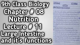 Large Intestine and it's functions | Chapter # 08 | Nutrition | Lecture # 11 | #video #viral #bio 