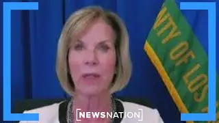 LA County supervisor: City will comply if feds bring warrants | Elizabeth Vargas Reports