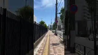 Walking in Tokyo #shorts #tokyo #timelapse 00014