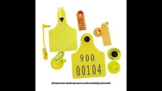 Programming TPU Ear RFID Tags For Easy Tracking And Monitoring Of Assets And Cow Goat Cattle Sheep