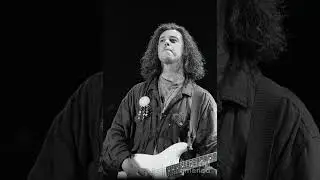 Tears For Fears - Head Over Heels - Isolated Guitars