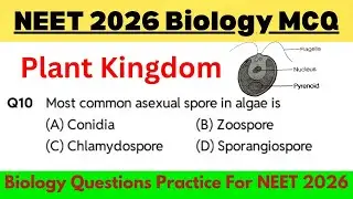Plant Kingdom MCQ for NEET 2026 | 100% Most Expected Questions | Class 11 Biology | Dr. Atlantis