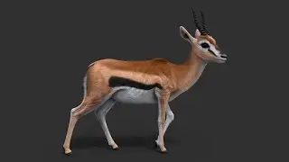 Gazelle Rig demo #stynsour