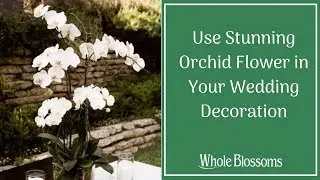 Use Stunning Orchid Flower in Your Wedding Decoration