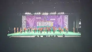 ACE Allstars - Warriors - Large Coed - 2005 Cheersport Nationals - Day 2