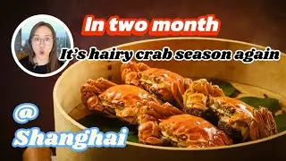 🦀 The Art of Eating Hairy Crab | A Shanghai Foodie&rsquo;s Guide