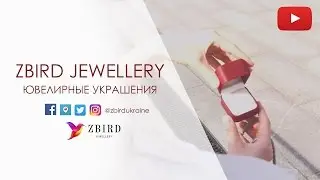 Промо ролик интернет-магазина Zbird