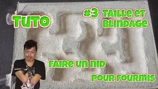 Tuto: Fabrication d'un nid pour fourmis Ep3 taille et blindage