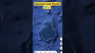 🦕Dinosaur was found in Beach 😱 | How is it possible || Dinosaur Fact | #shorts #shortsfeed #wildsea