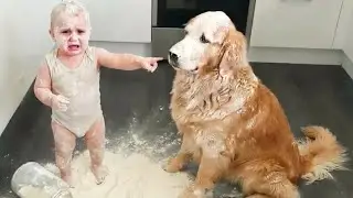 When Your Baby And Dog Become The Family Comedian - Funny Baby Videos