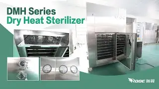 Hot Air Circulation Drying Oven Hundred Grade Purification Dry Heat Sterilizer