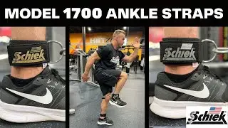 Schiek Ankle Straps - Model 1700