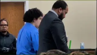 Michael Lloyd pleads guilty to murder and addresses the court before Circuit Judge Maite Murphy on