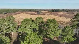 Crosby Land Company Presents: Davis Station, Clarendon County, South Carolina