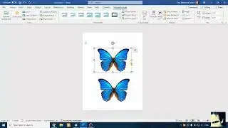 How to set current wrap style and positioning option as the default for any new images in Word