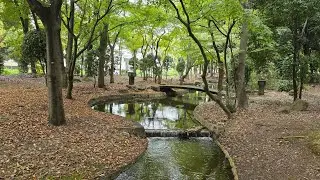 Osaka, Japan: A morning walk in osaka bay