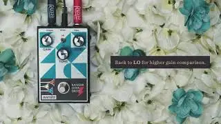 Maestro Ranger Overdrive | Russo Music