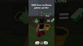 New Golden pot level 50 farm Blockspin Roblox #blockspin #roblox #fypシ゚viral #gaming #fyp