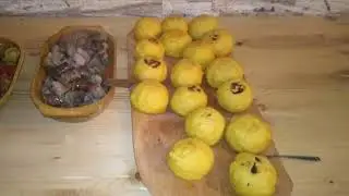 Pensiunea Edera Fundata