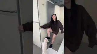 Bella Poarch | My dog is evil😭
