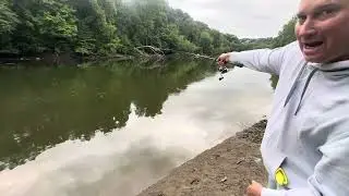 Finesse hula popper, Passaic River uncut  1st fish 5:40 2nd 12:25-3rd 22:30-4th 48:25