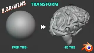 SCULPTING HUMAN BRAIN USING |BLENDER 2.8| @TheIndianStopwatch