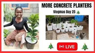 Vlogmas Day 25 🎄| MORE Concrete Planters 🌿 | DIY Cement Pots LIVE