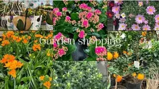 Leisure shopping for plants 🪴