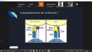 Gu&iacute;a de Autoestudio UT8 (2)