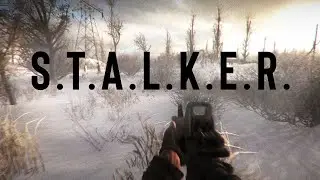 S.T.A.L.K.E.R. Anomaly - Winter In The Swamp