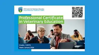 Professional Certificate in Veterinary Education | Testimonial | Catherine McCarney