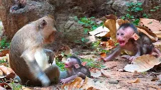 Adorable baby Idris very upset when his mother refused to let him drink milk