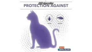 Hartz UltraGuard Flea & Tick Collar for Cats Review: Is 7-Month Protection Worth It?