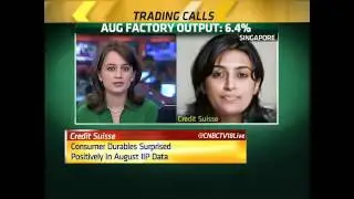 The IIP Data Cheer: Data Indicates More Stable Pick Up- Oct 13