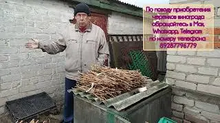 I'm preparing grape cuttings for sale.