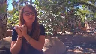 Phoenix Herpetological Society