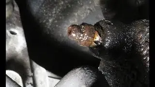 Techniques for Removing a Stuck Auto Bolt or Screw: The Brake Bleeder