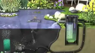 BioFilter Oase for Koi Fish Ponds   BFSC SSN