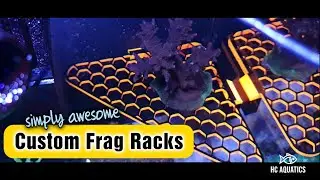 Loving my custom frag rack upgrade | reef aquarium update