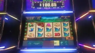 $1468 African Diamond slot machine Major progressive jackpot win chasing jackpots on Konami slots