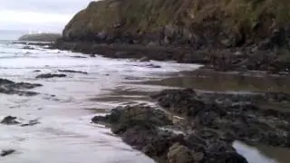wavecount.3gp