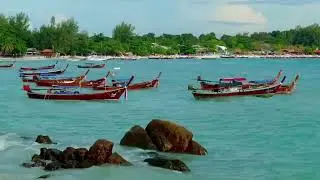 Saciid qalinle dumar kala xulane