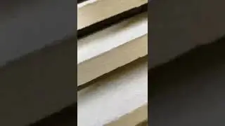Bat Removal - Bat Eviction