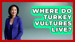 Where Do Turkey Vultures Live? - Bird Watching Diaries