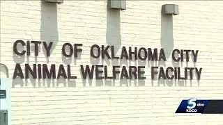 OKC Animal Welfare employee mauled by dog during shift
