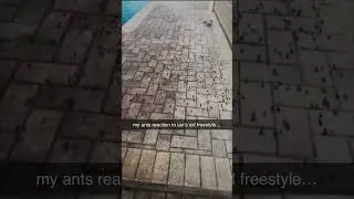 моя реакция на фристайл Яна xxl... #шорты